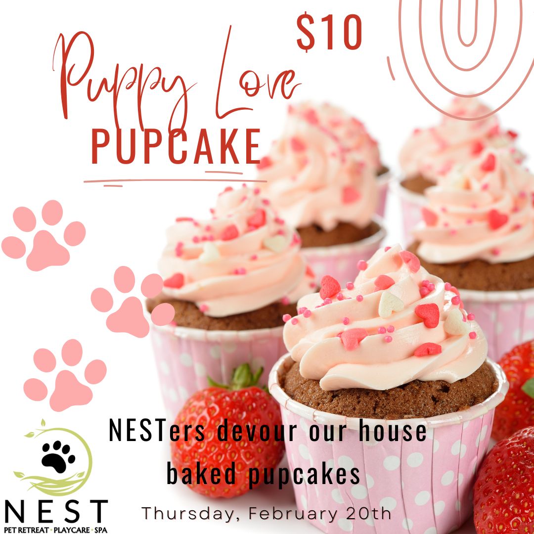 Pupcakes