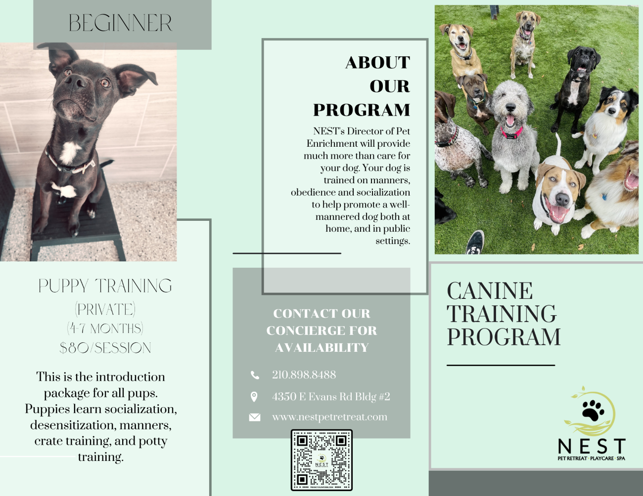 CanineTrainingProgram