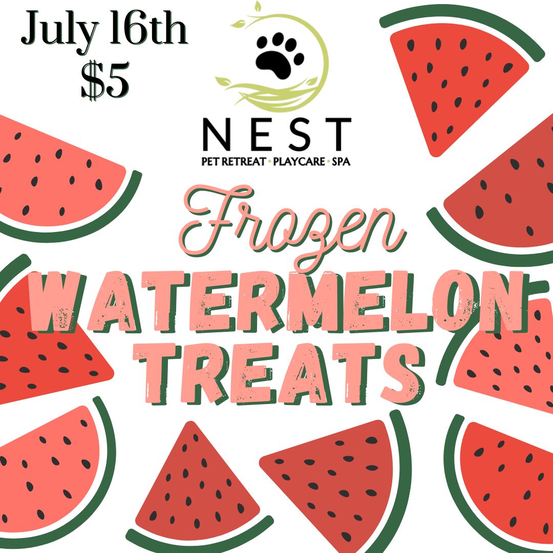 Event at NEST Pet Retreat