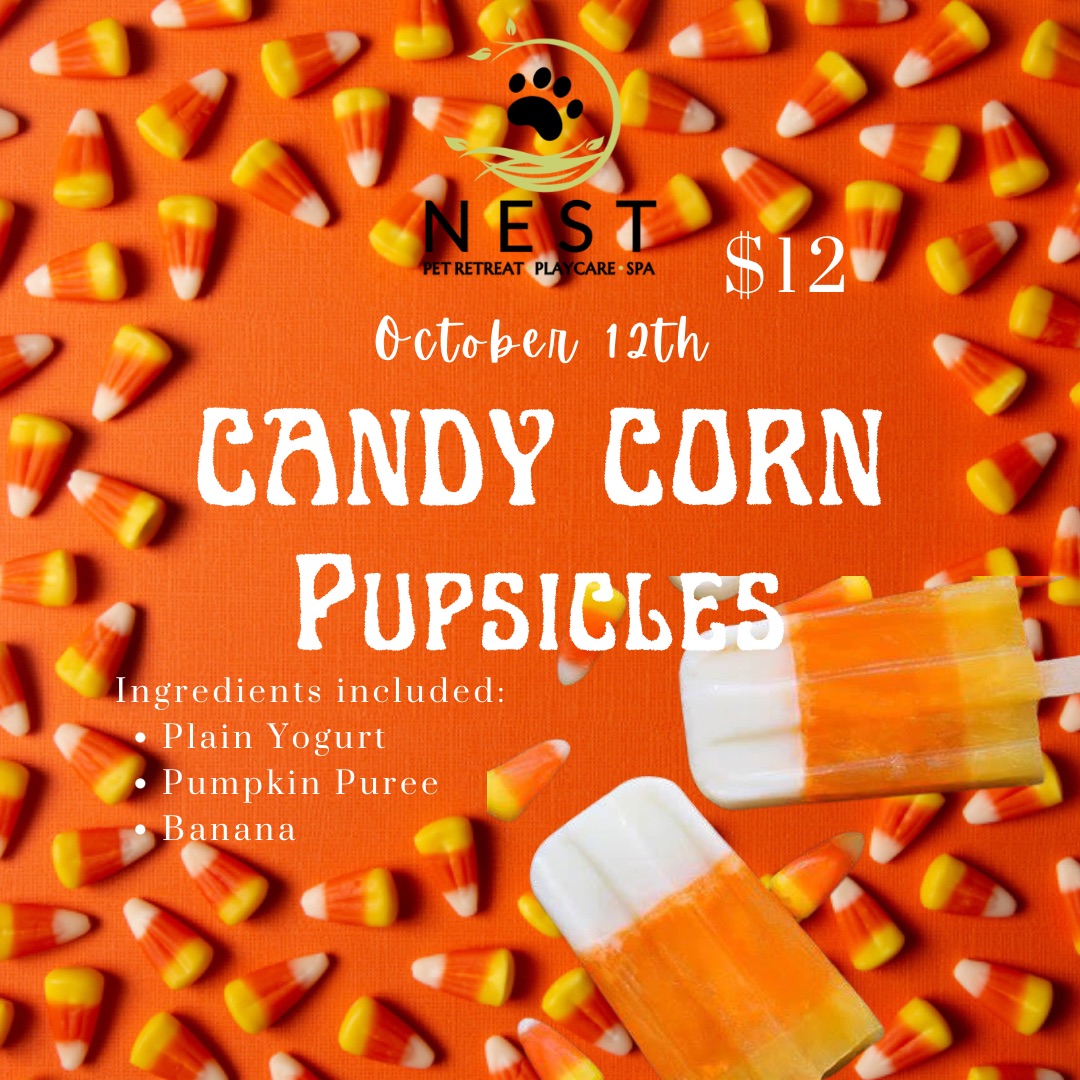 Frozen Candy Corn Pupsicle