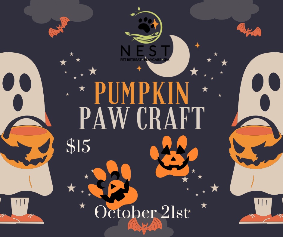 Pumpkin Paw Craft