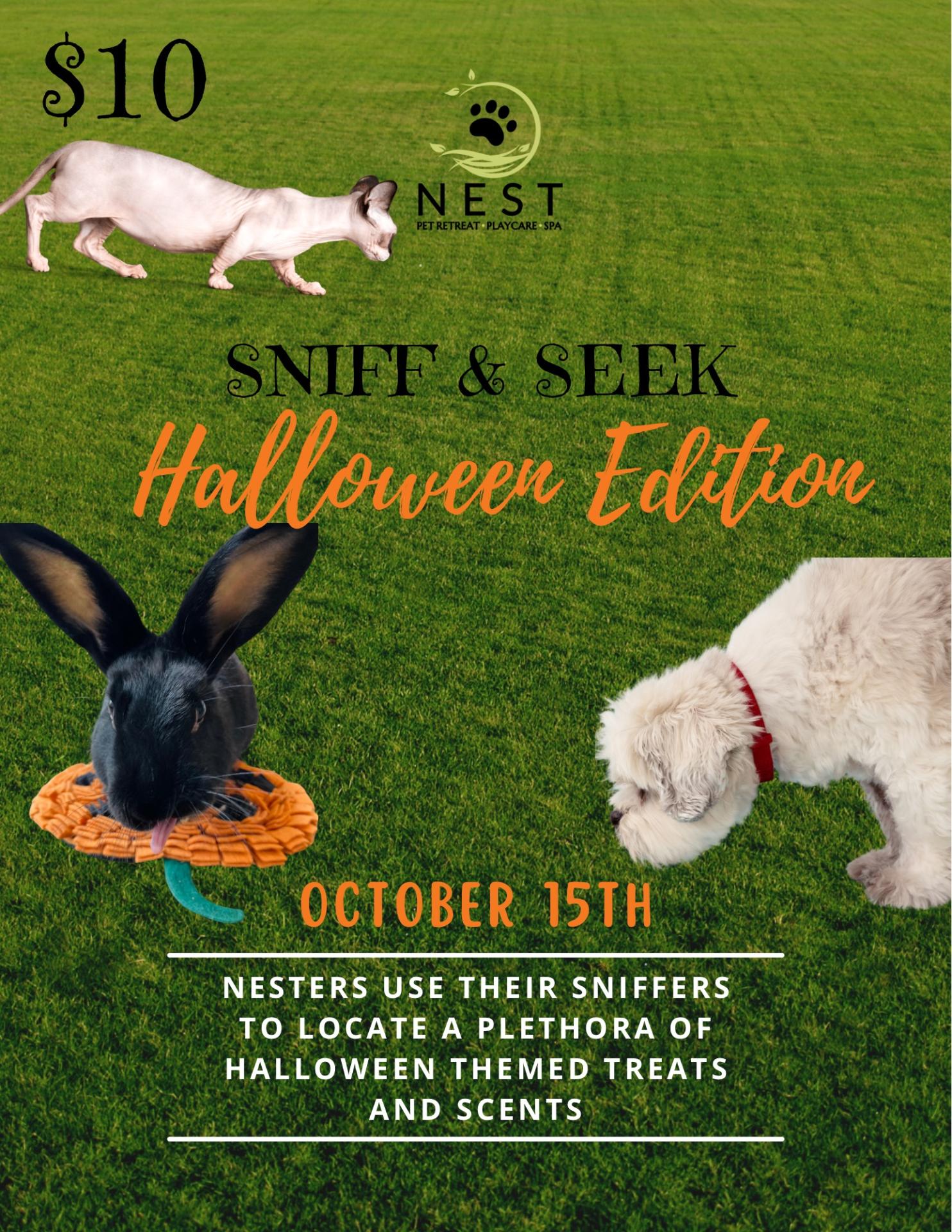 Sniff and Seek Halloween Edition